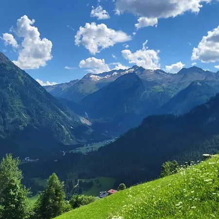 Сasa de vacaciones Almliesl Wald-745 *